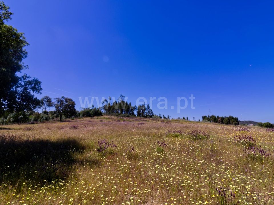 Erhvervsejendom i Nisa, Portalegre - foto 5