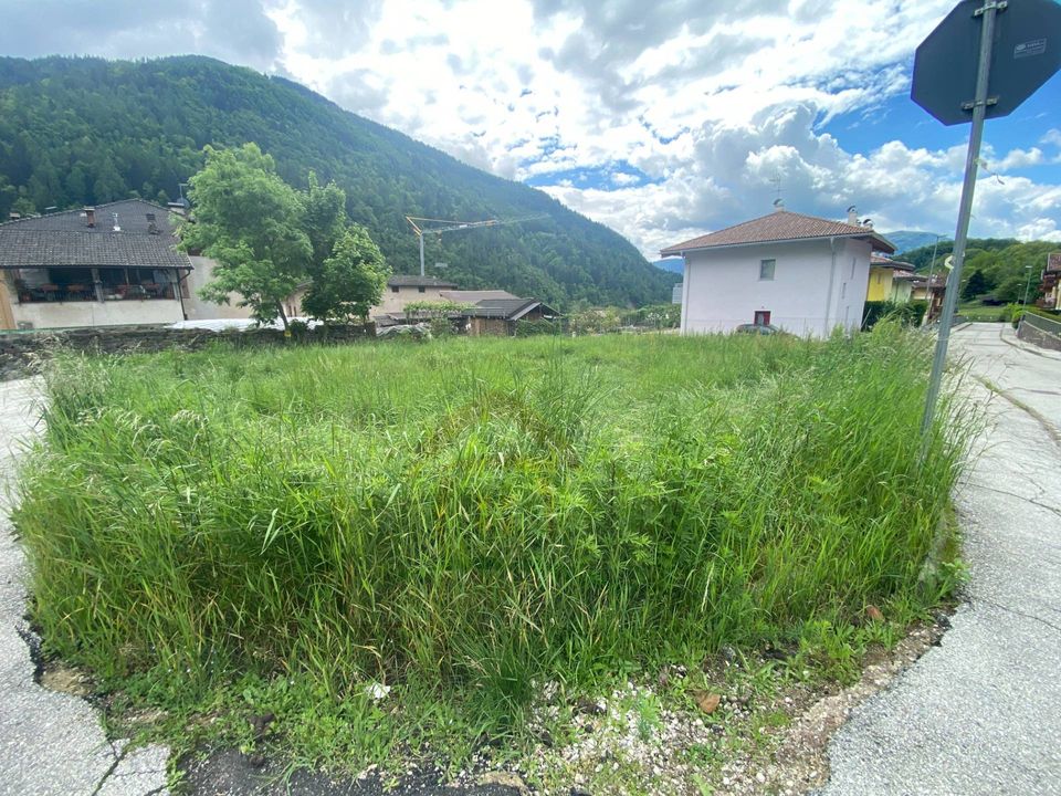 Helårsgrund i Pergine Valsugana, Trento - foto 2