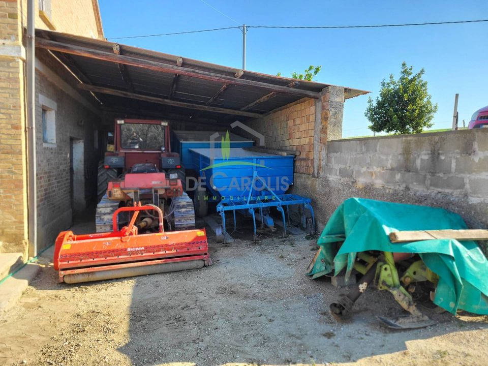 Farm i Acquaviva Picena, Ascoli Piceno - foto 4