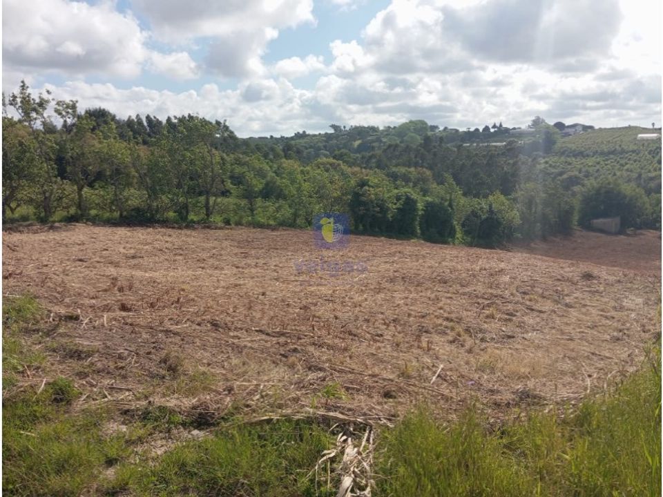 Helårsgrund i Carvalhal, Leiria - foto 1