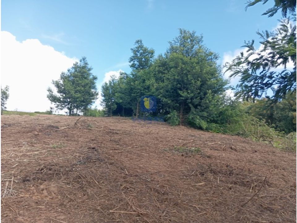 Helårsgrund i Carvalhal, Leiria - foto 2