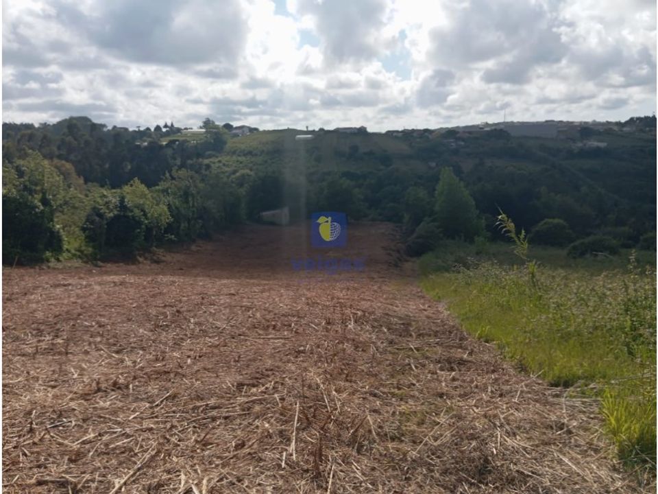 Helårsgrund i Carvalhal, Leiria - foto 4