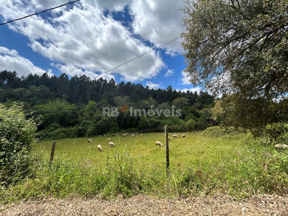 Helårsgrund i Ferreira do Zezere, Santarem - foto 2