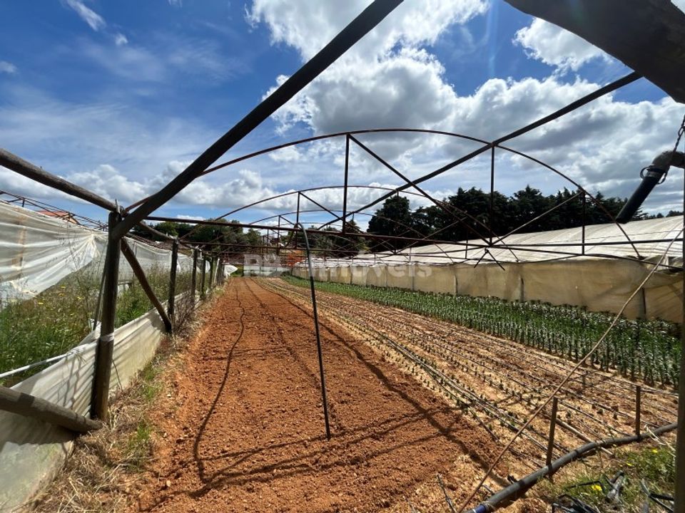 Helårsgrund i Ferreira do Zezere, Santarem - foto 1