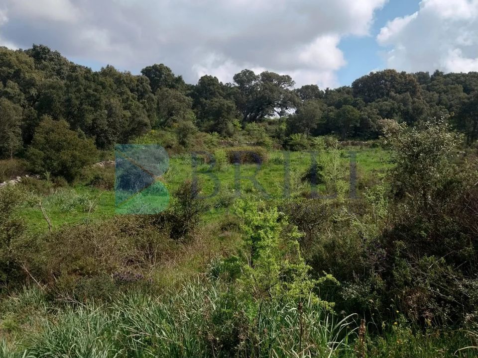 Landejendom i Luras, Sassari - foto 2