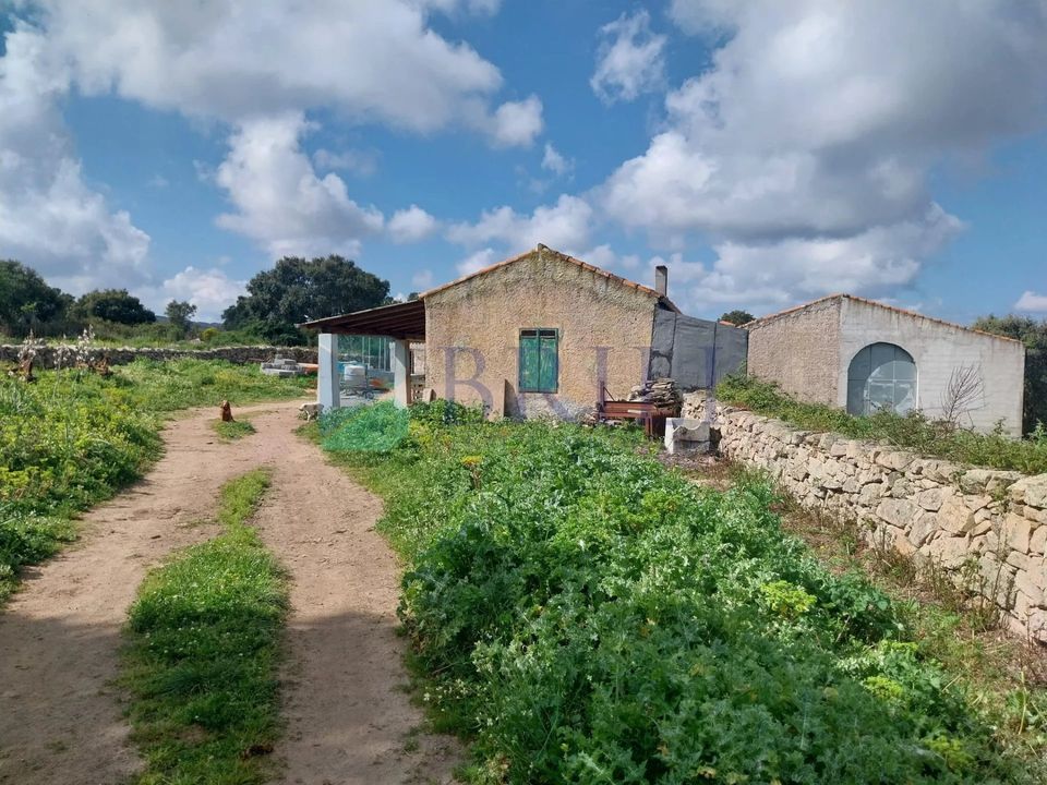 Landejendom i Luras, Sassari - foto 4
