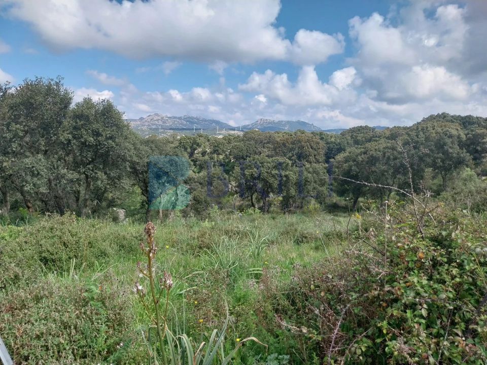 Landejendom i Luras, Sassari - foto 5