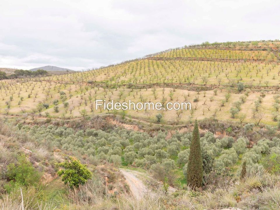 Herregård i Villamena, Granada - bilde 2
