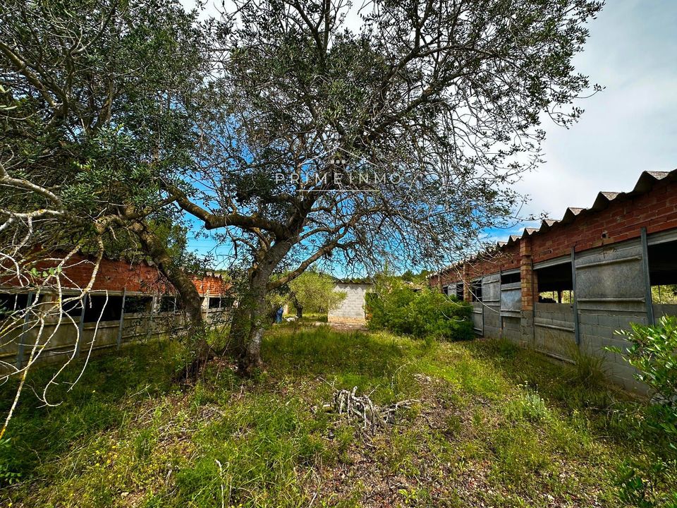 Finca i L'Ametlla De Mar, Tarragona - foto 1