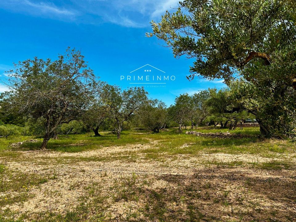 Finca i L'Ametlla De Mar, Tarragona - foto 3