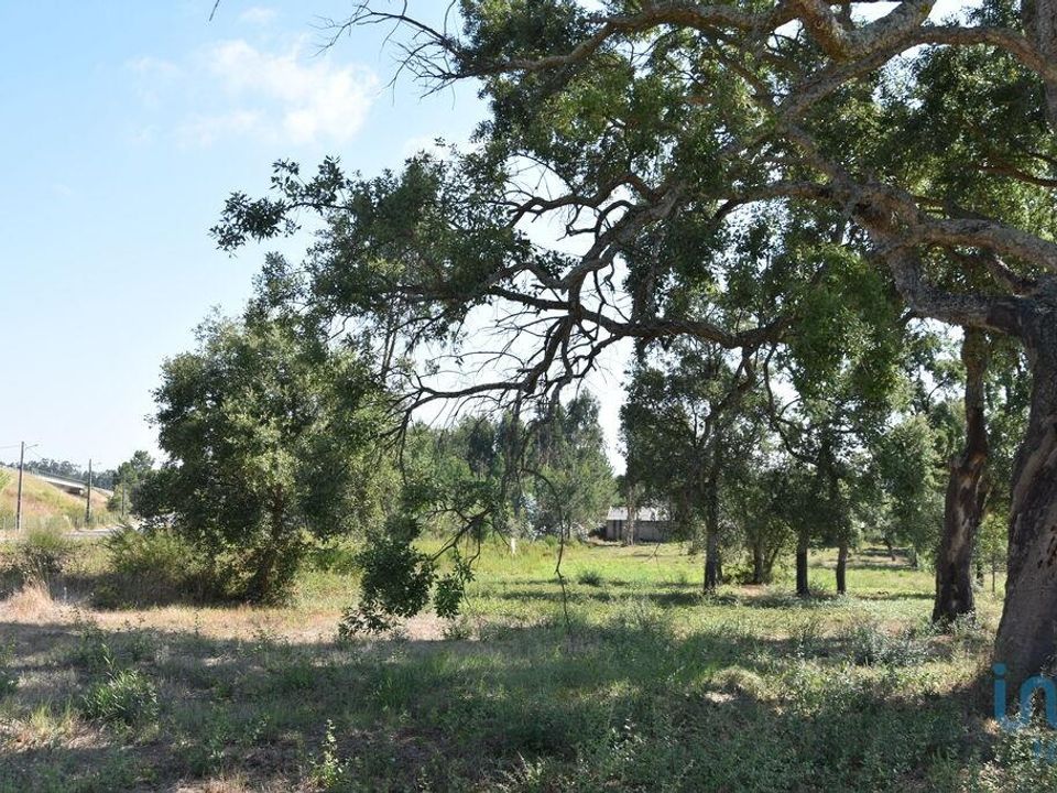 Helårsgrund i Leiria, Leiria - foto 2