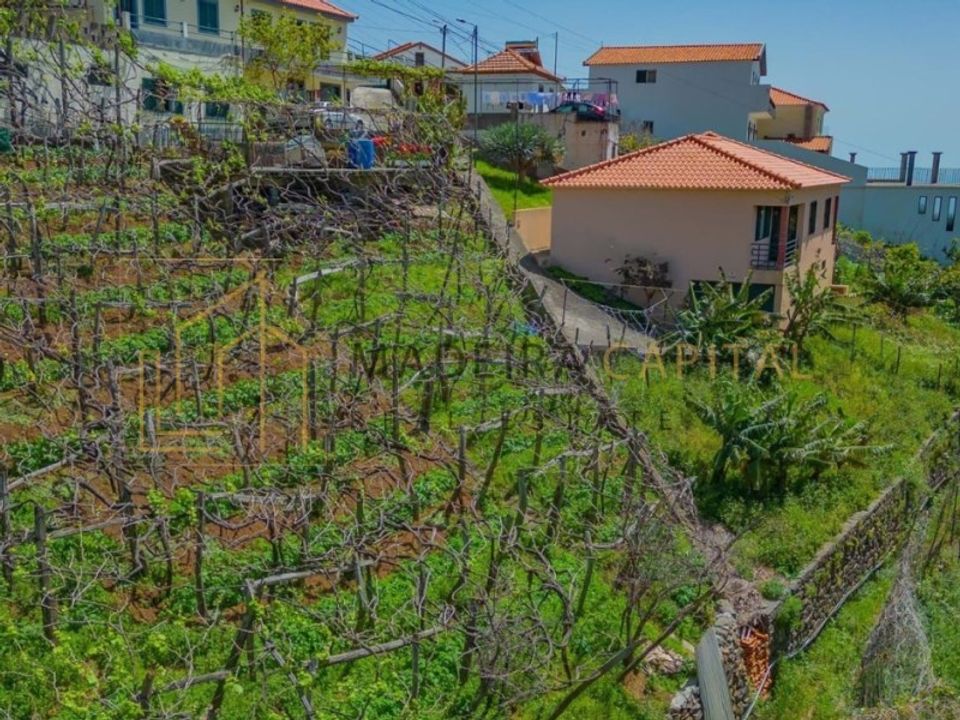 Villa i Camara de Lobos, Madeira - foto 4
