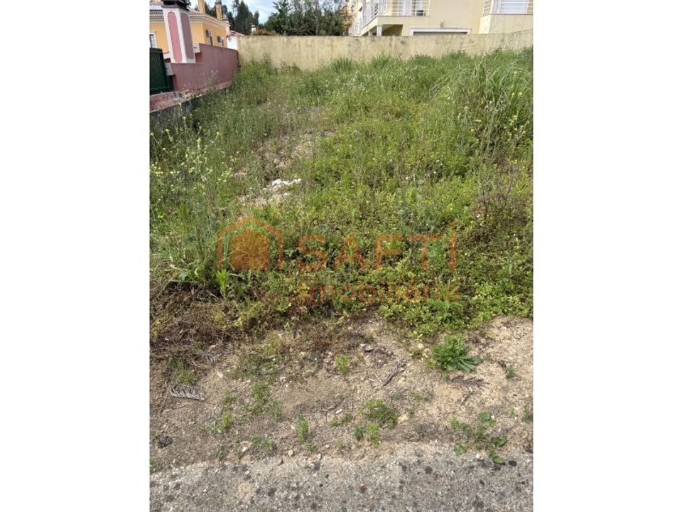 Helårsgrund i Rio Maior, Santarem - foto 4