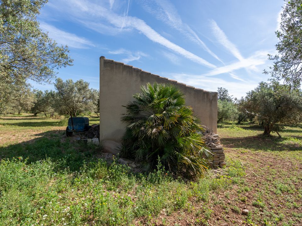 Finca i Roquetes, Tarragona - foto 4