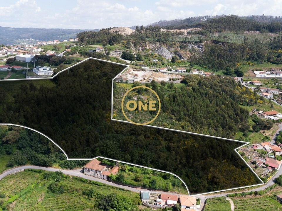 Helårsgrund i Santo Tirso, Porto - foto 2