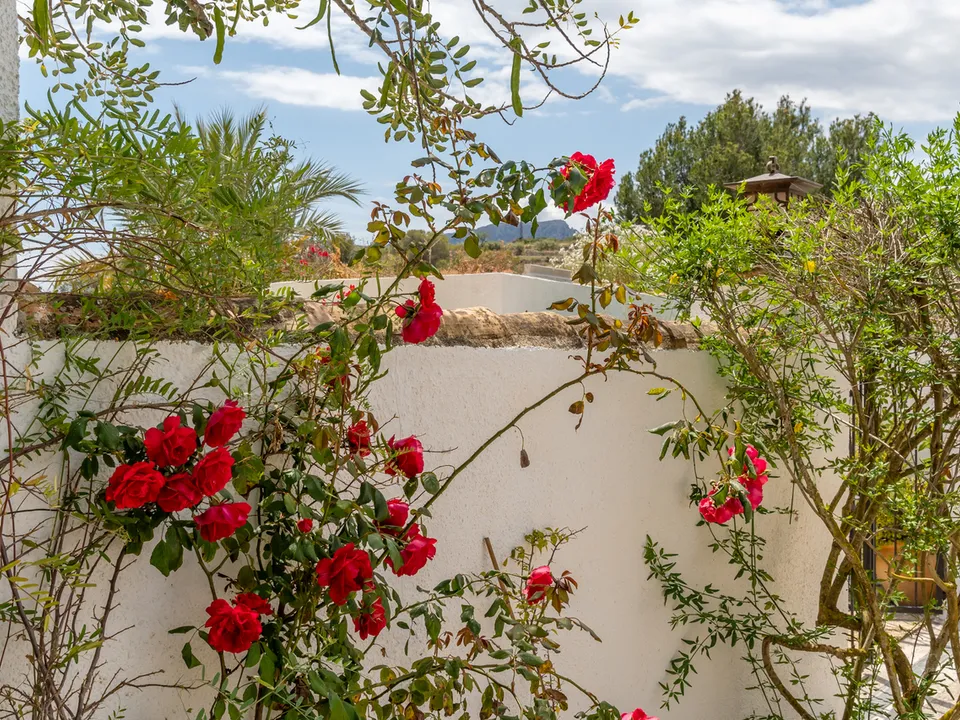 Finca i Benissa, Alicante - foto 5