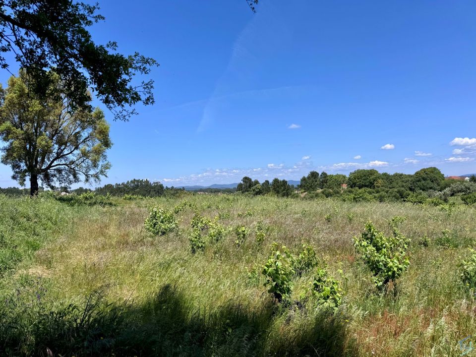 Helårsgrund i Tomar, Santarem - foto 1
