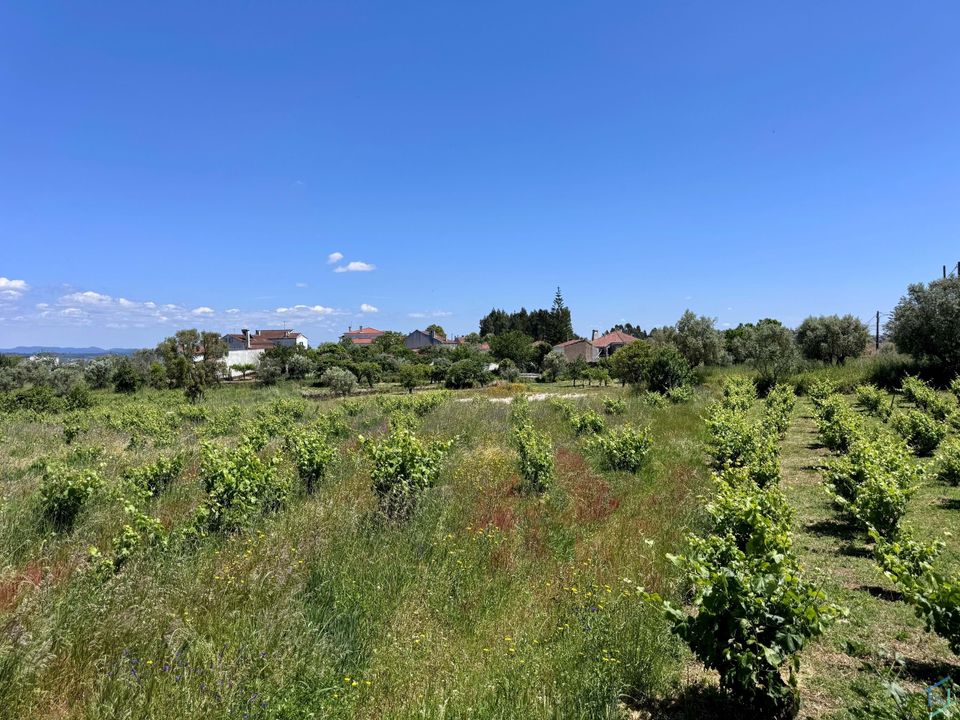 Helårsgrund i Tomar, Santarem - foto 2