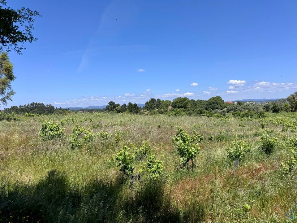 Helårsgrund i Tomar, Santarem - foto 3