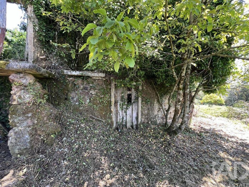 Casa de pueblo en Penela, Coimbra - foto 2