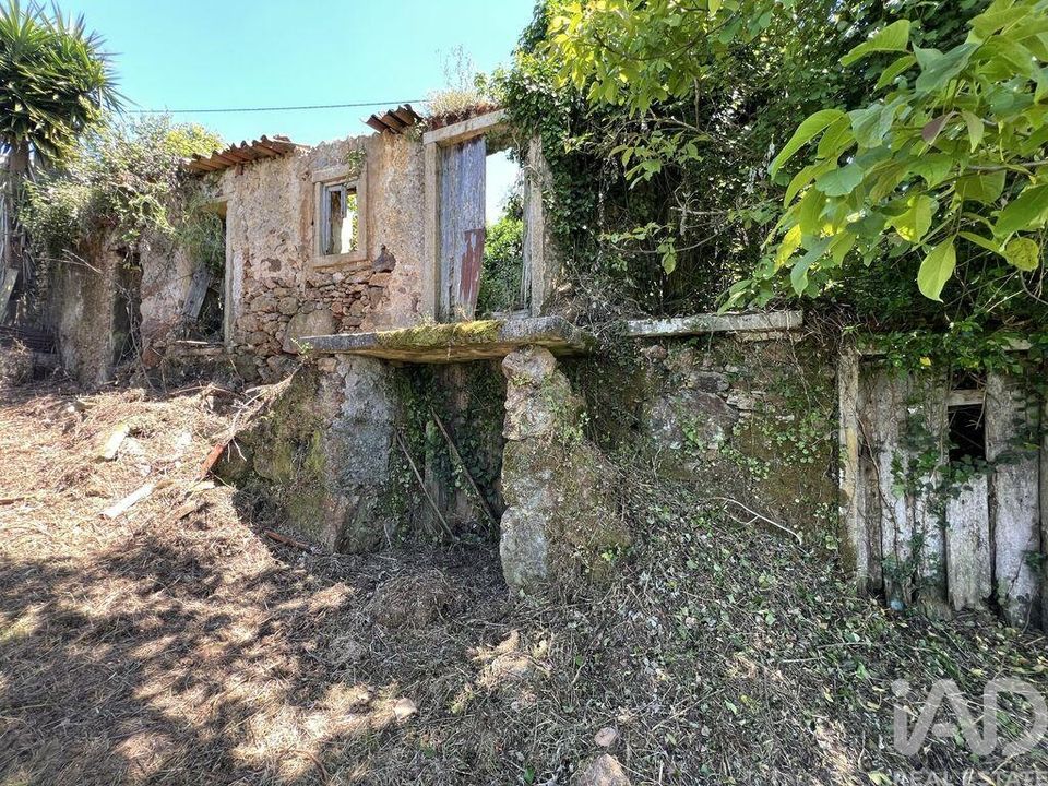 Casa de pueblo en Penela, Coimbra - foto 3