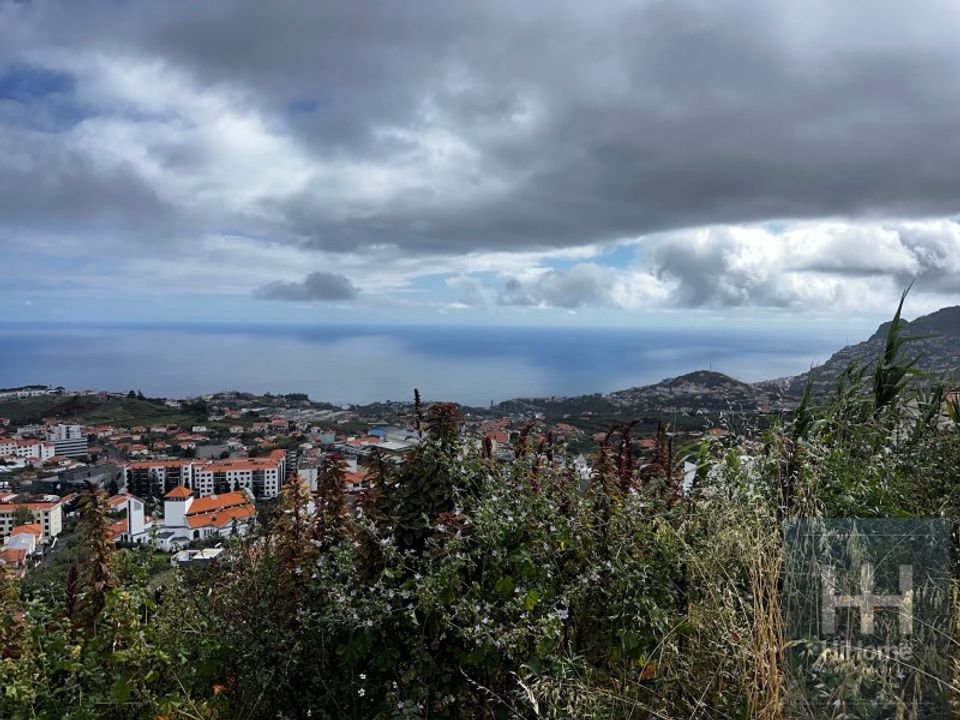 Helårsgrund i Funchal, Madeira - foto 4