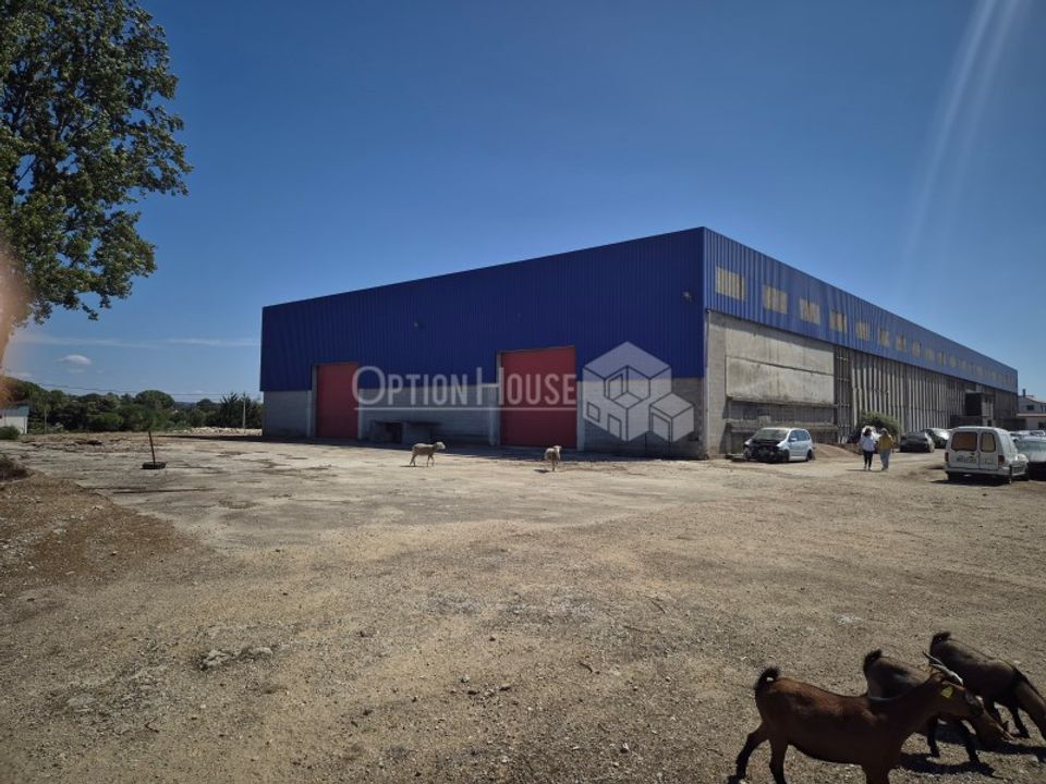 Erhvervsejendom i Casais e Alviobeira, Santarem - foto 1