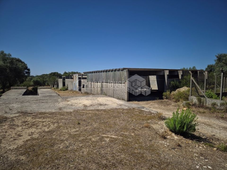 Erhvervsejendom i Casais e Alviobeira, Santarem - foto 3