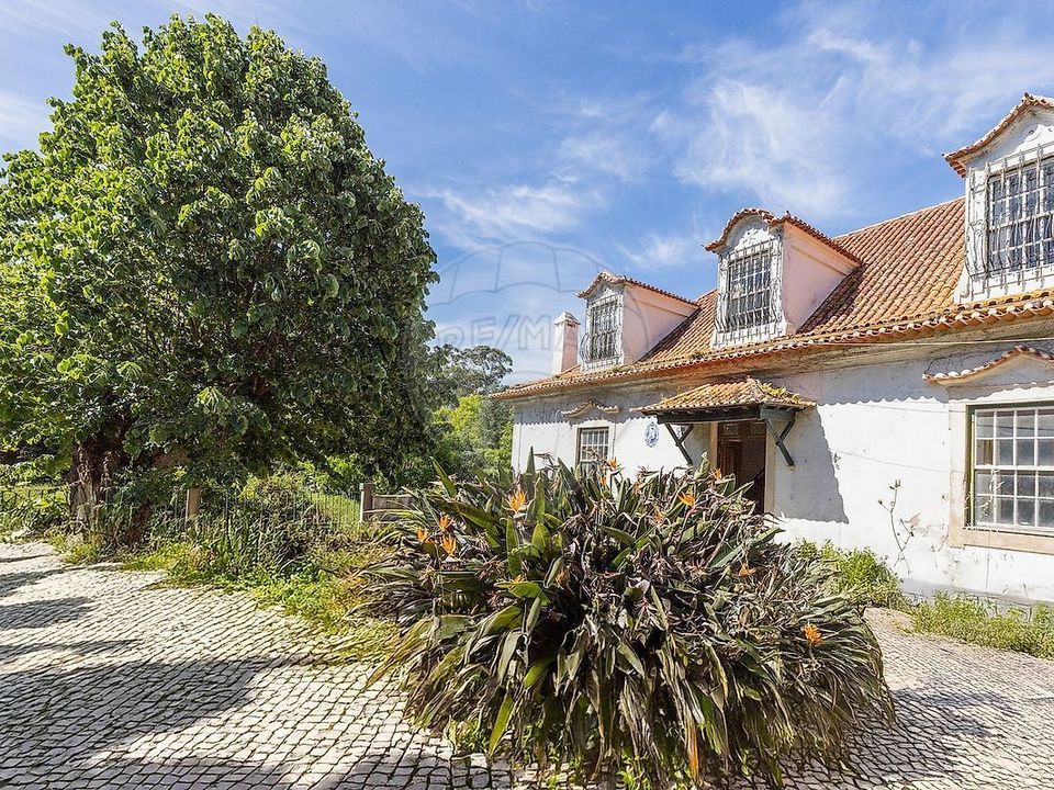 Farm i Tavarede, Coimbra - foto 2