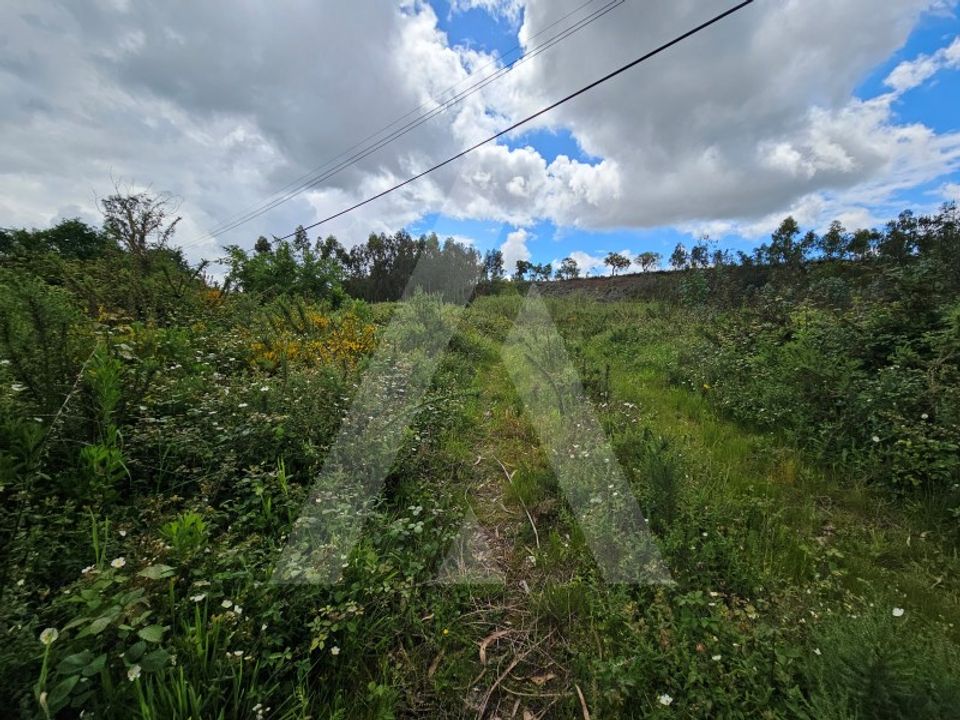 Helårsgrund i Barro, Aveiro - foto 1