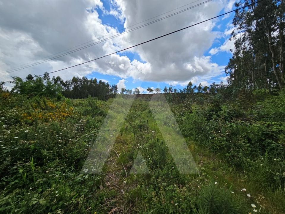 Helårsgrund i Barro, Aveiro - foto 4