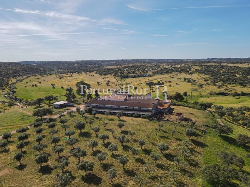 Landejendom i Monforte da Beira, Castelo Branco - foto 5