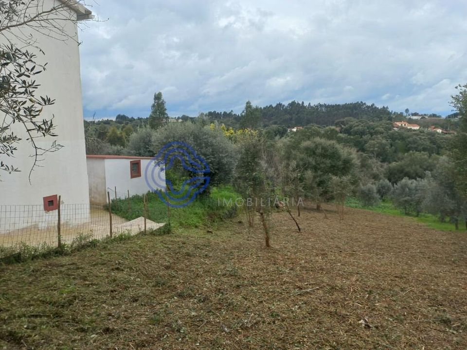 Helårsgrund i Ferreira do Zezere, Santarem - foto 3