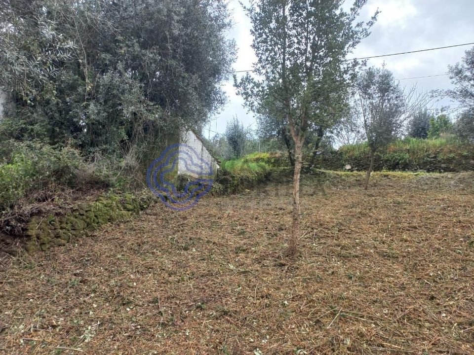 Helårsgrund i Ferreira do Zezere, Santarem - foto 5