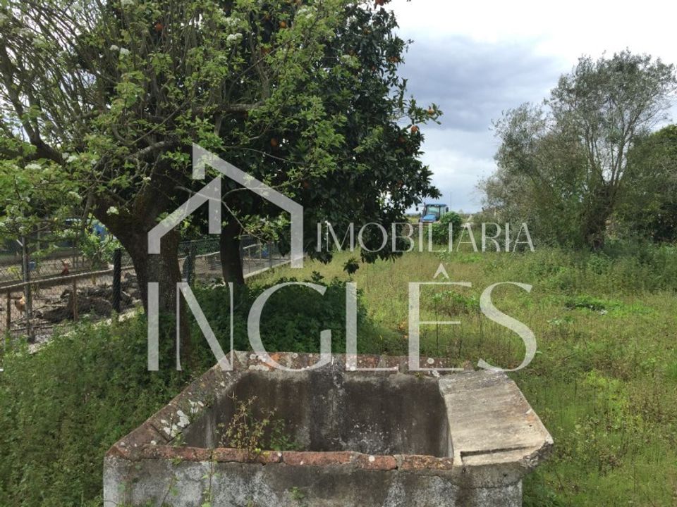 Villa i Golega, Santarem - foto 2