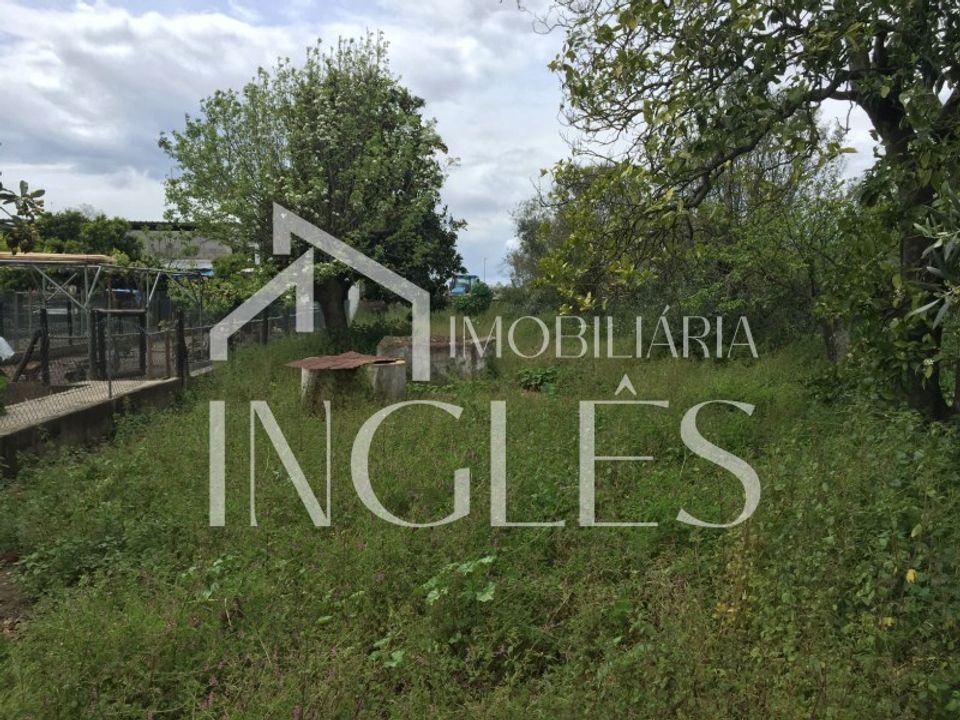 Villa i Golega, Santarem - foto 1