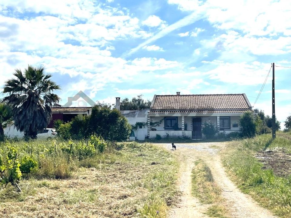 Farm i Vidigueira, Beja - foto 2