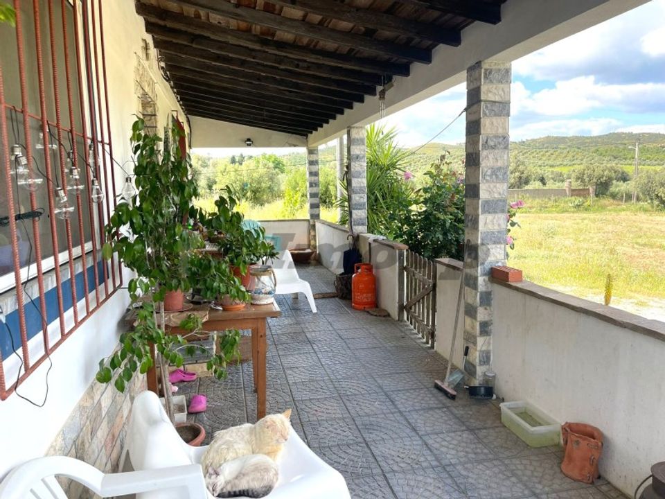 Farm i Vidigueira, Beja - foto 4