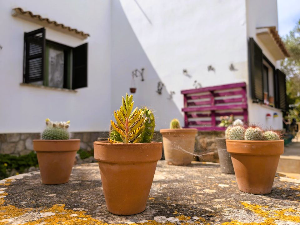 Villa i Cala Llombards, Mallorca - foto 4