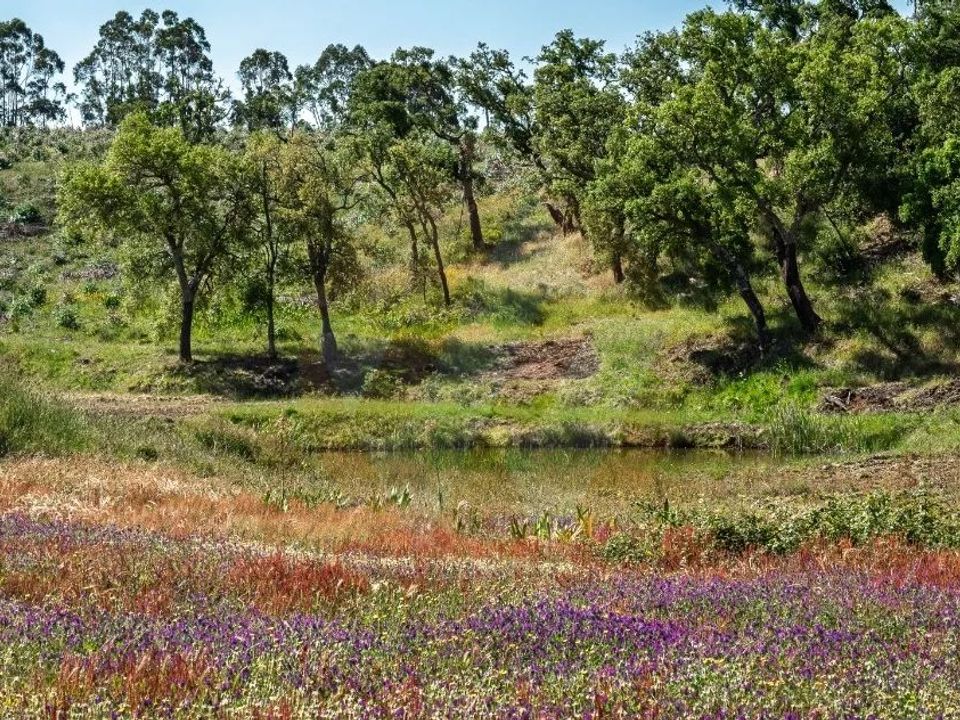 Villa i Odemira, Beja - foto 2
