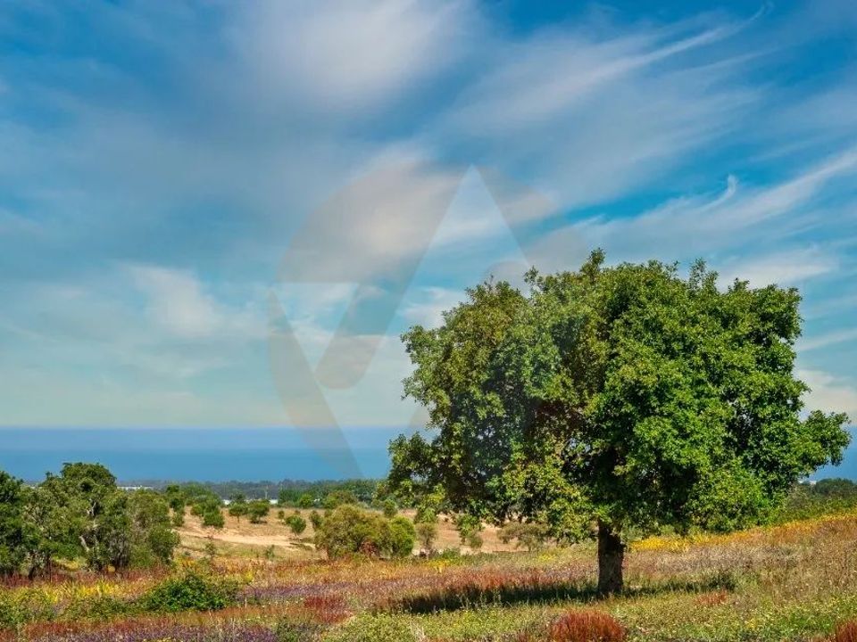 Villa i Odemira, Beja - foto 4