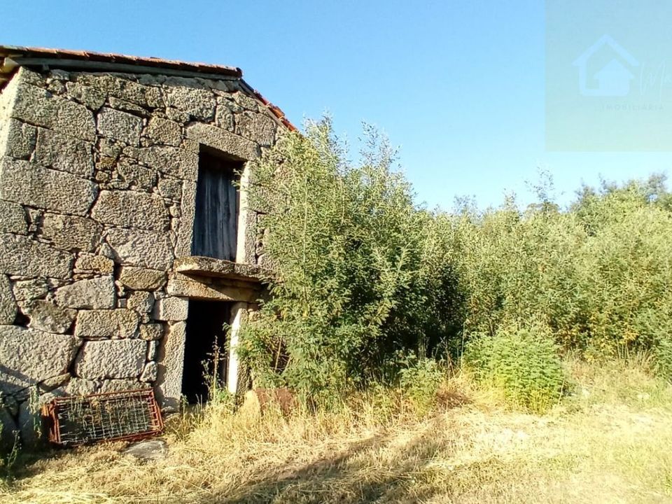 Helårsgrund i Penalva do Castelo, Viseu - foto 1