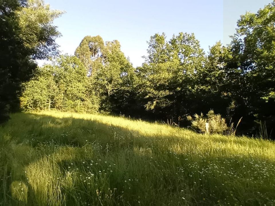 Helårsgrund i Penalva do Castelo, Viseu - foto 3