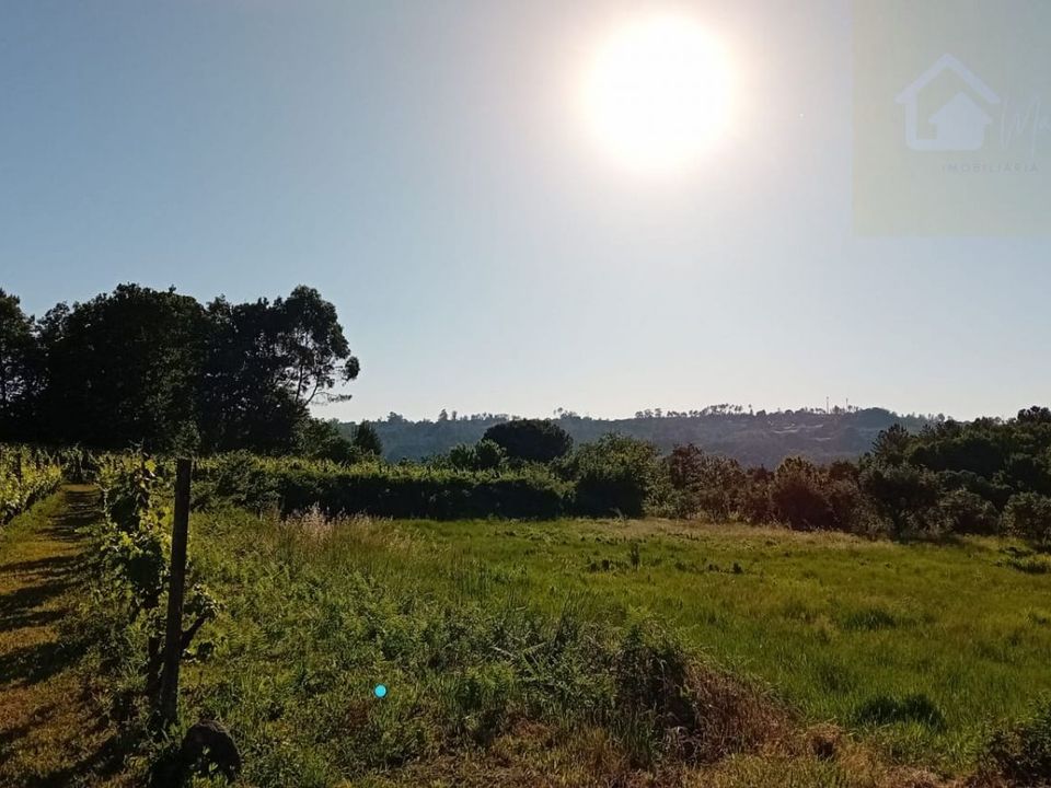 Helårsgrund i Penalva do Castelo, Viseu - foto 4