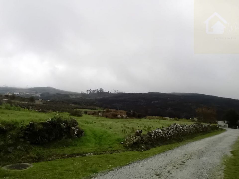 Helårsgrund i Mangualde, Viseu - foto 1