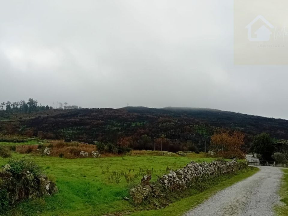 Helårsgrund i Mangualde, Viseu - foto 2