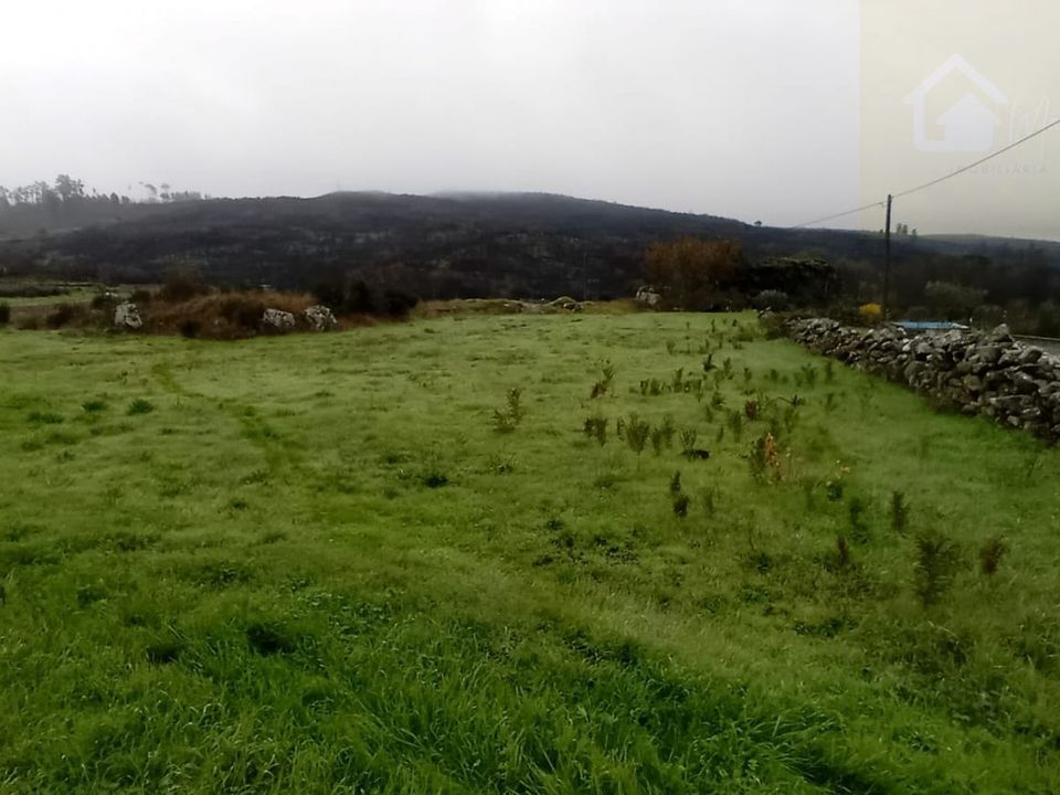 Helårsgrund i Mangualde, Viseu - foto 4