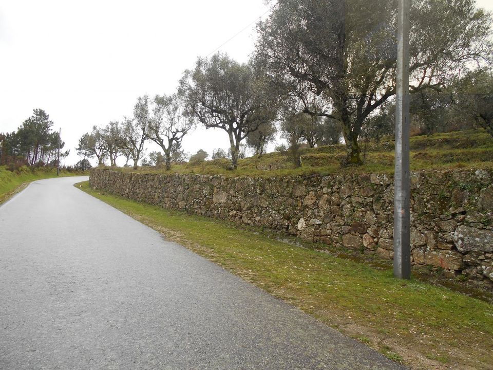 Helårsgrund i Mangualde, Viseu - foto 1