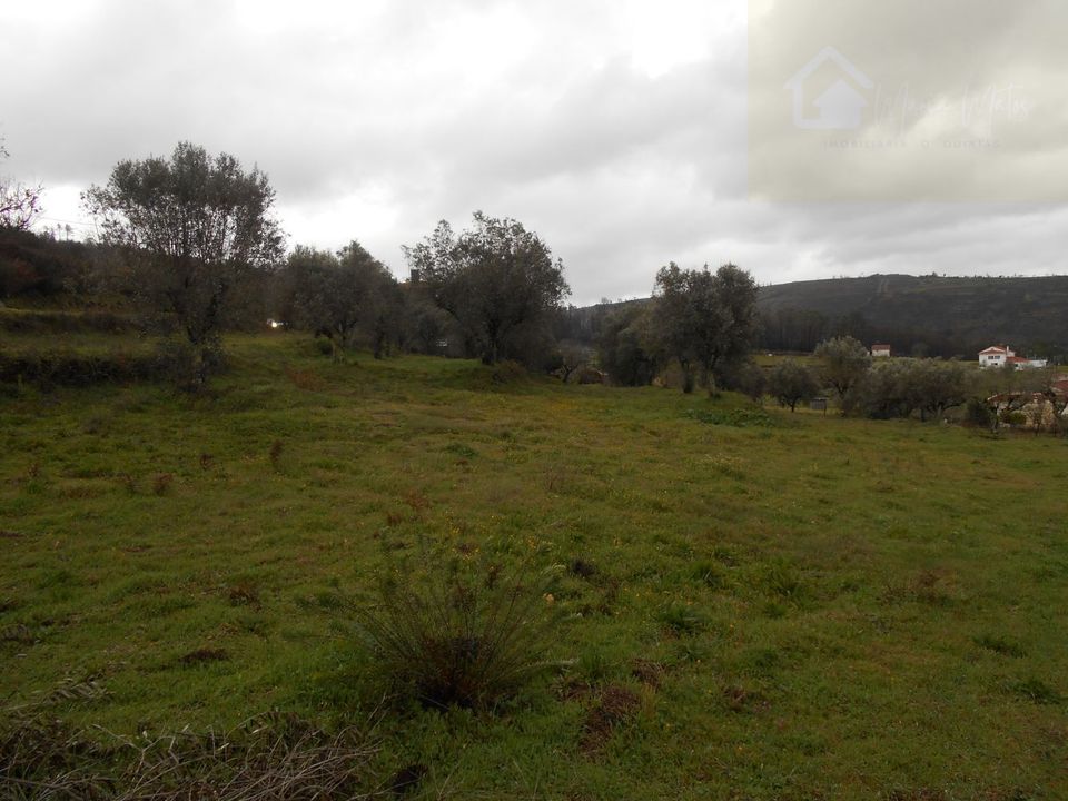 Helårsgrund i Mangualde, Viseu - foto 3