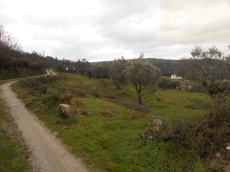 Helårsgrund i Mangualde, Viseu - foto 4